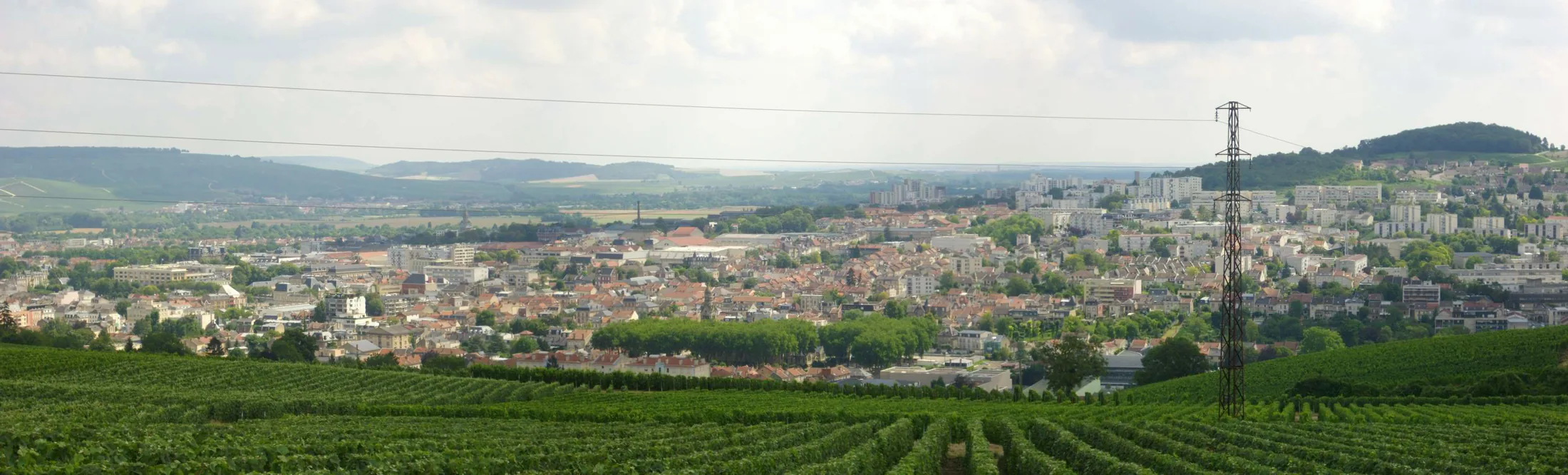 A second view of vineyards at Épernay