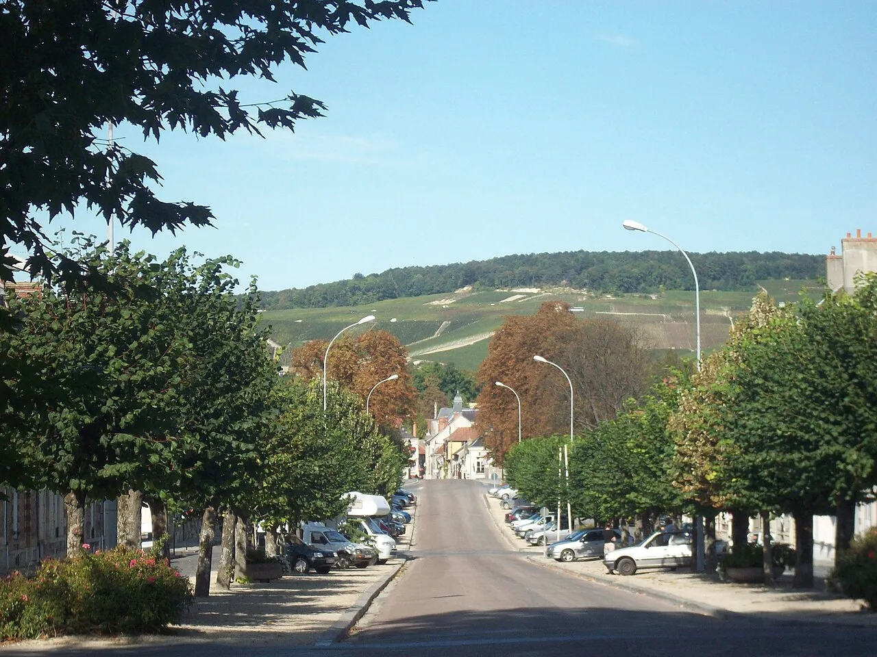 October Ends — CC BY-SA 3.0 Avenue Victor-Hugo in Aÿ