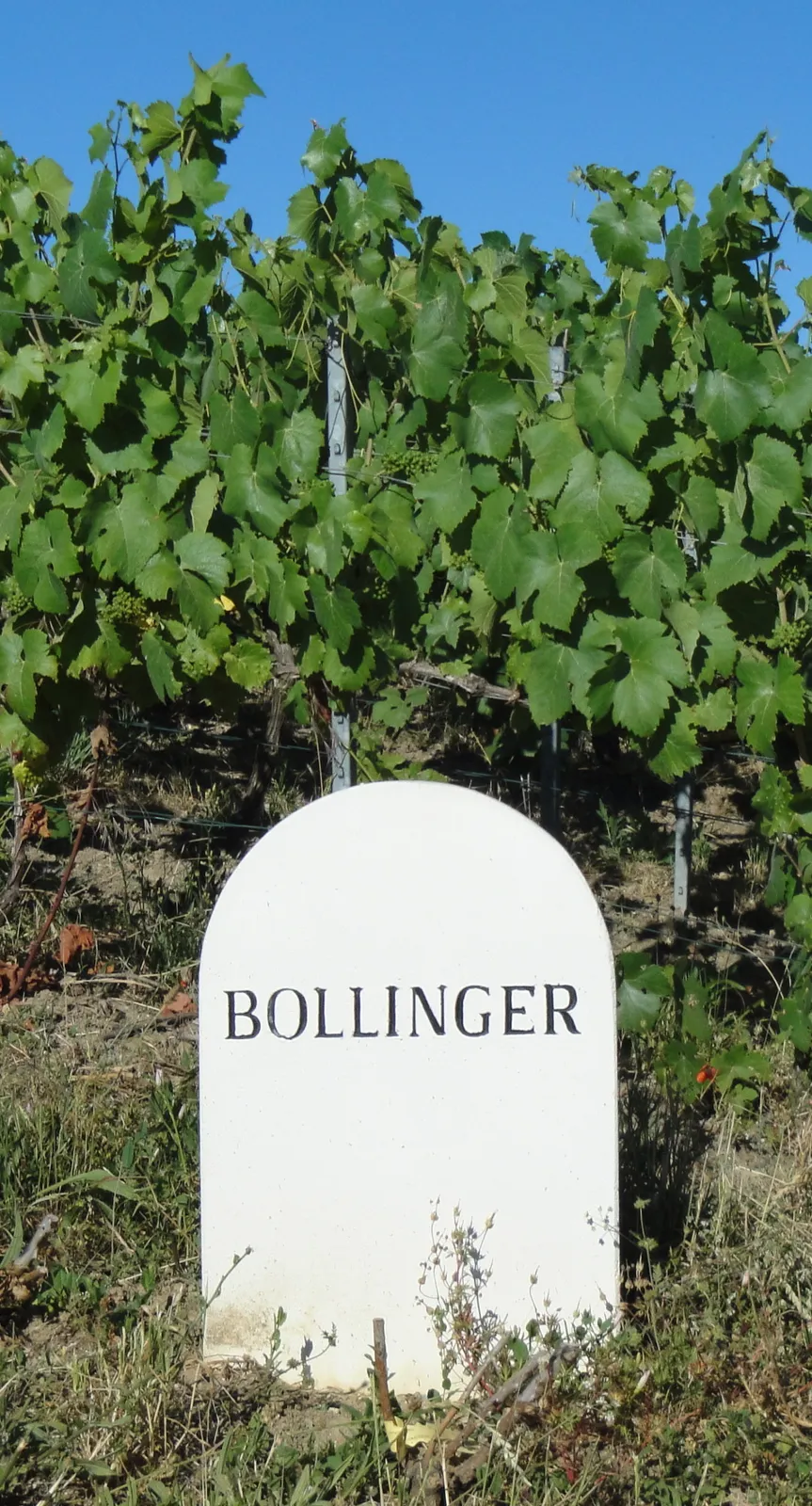 Tomas er — CC BY-SA 3.0 Bollinger vineyard marker in Champagne