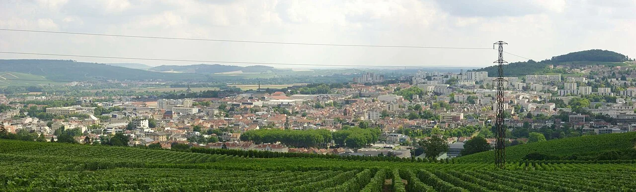 A second view of vineyards at Épernay