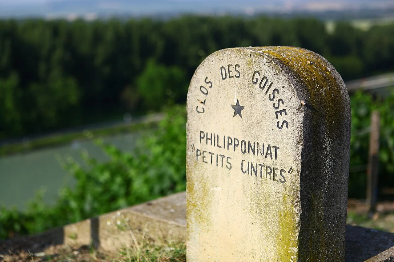 The steep Clos des Goisses vineyard at Mareuil-sur-Aÿ, Champagne Philipponnat