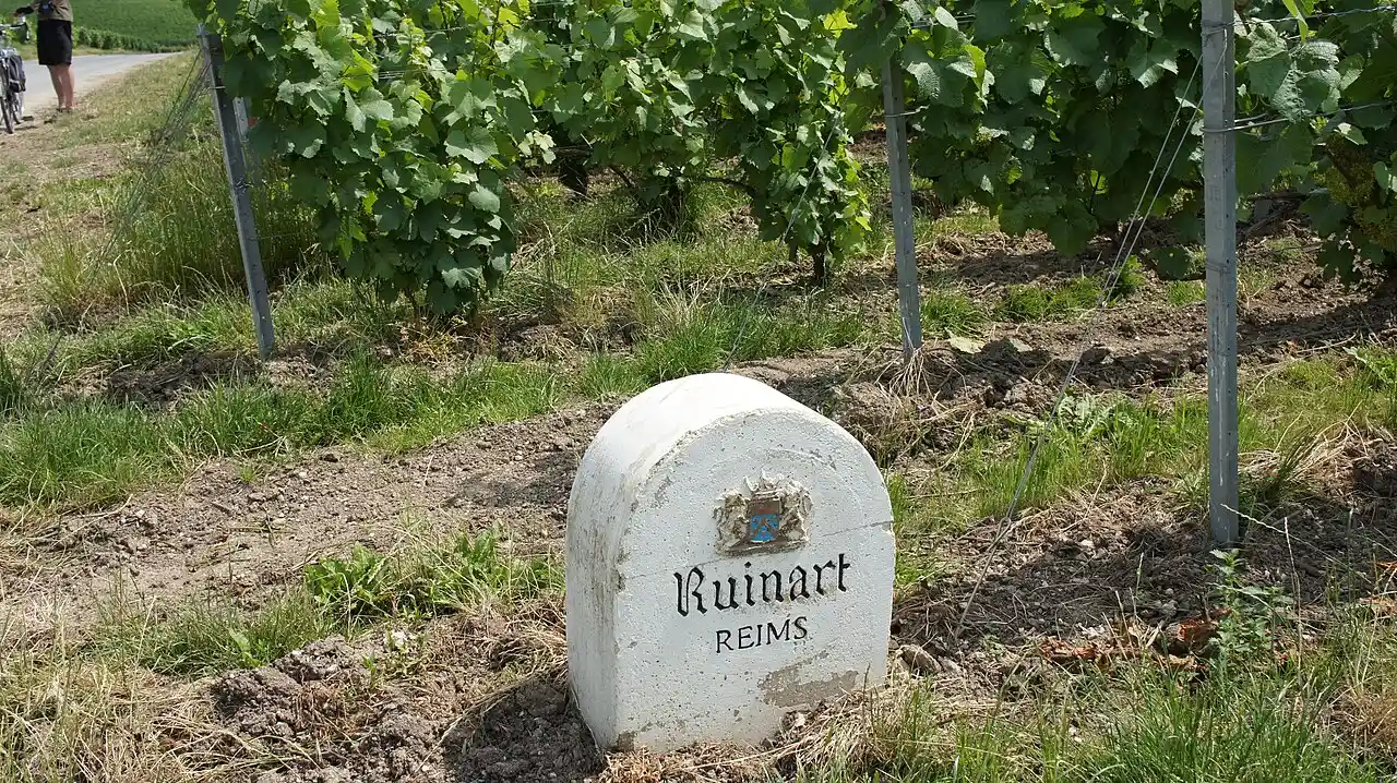 Ruinart vineyard marker in Champagne