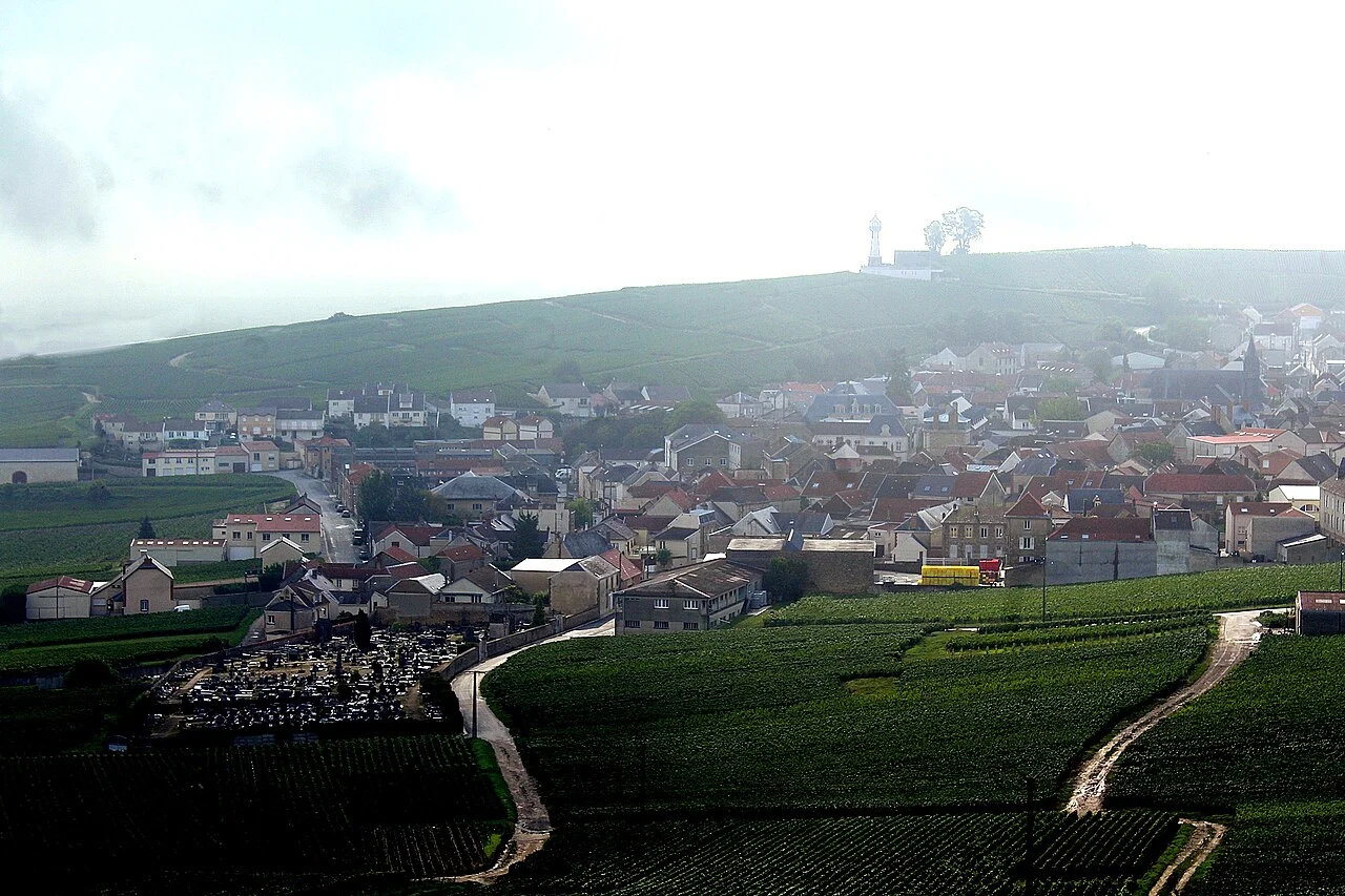 Dguendel — CC BY 4.0 View of the village of Verzenay